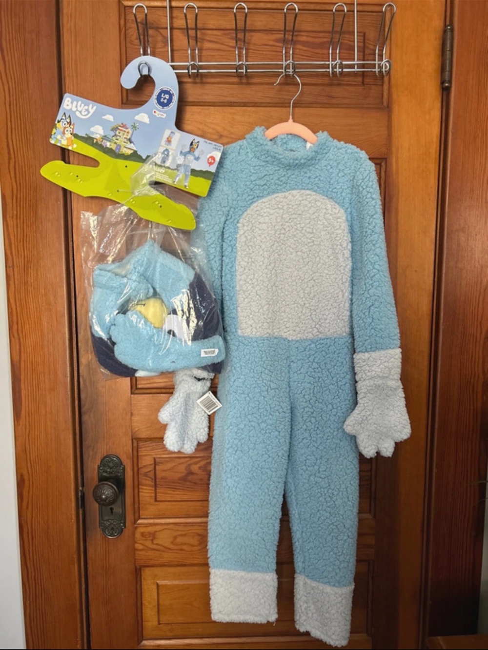 Disguise Bluey Costume